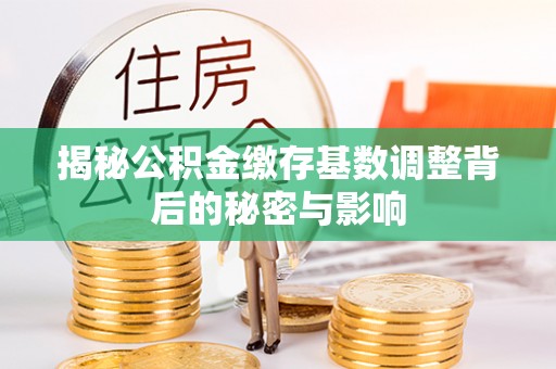 个旧揭秘公积金缴存基数调整背后的秘密与影响