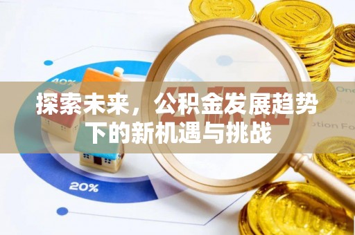 个旧探索未来，公积金发展趋势下的新机遇与挑战